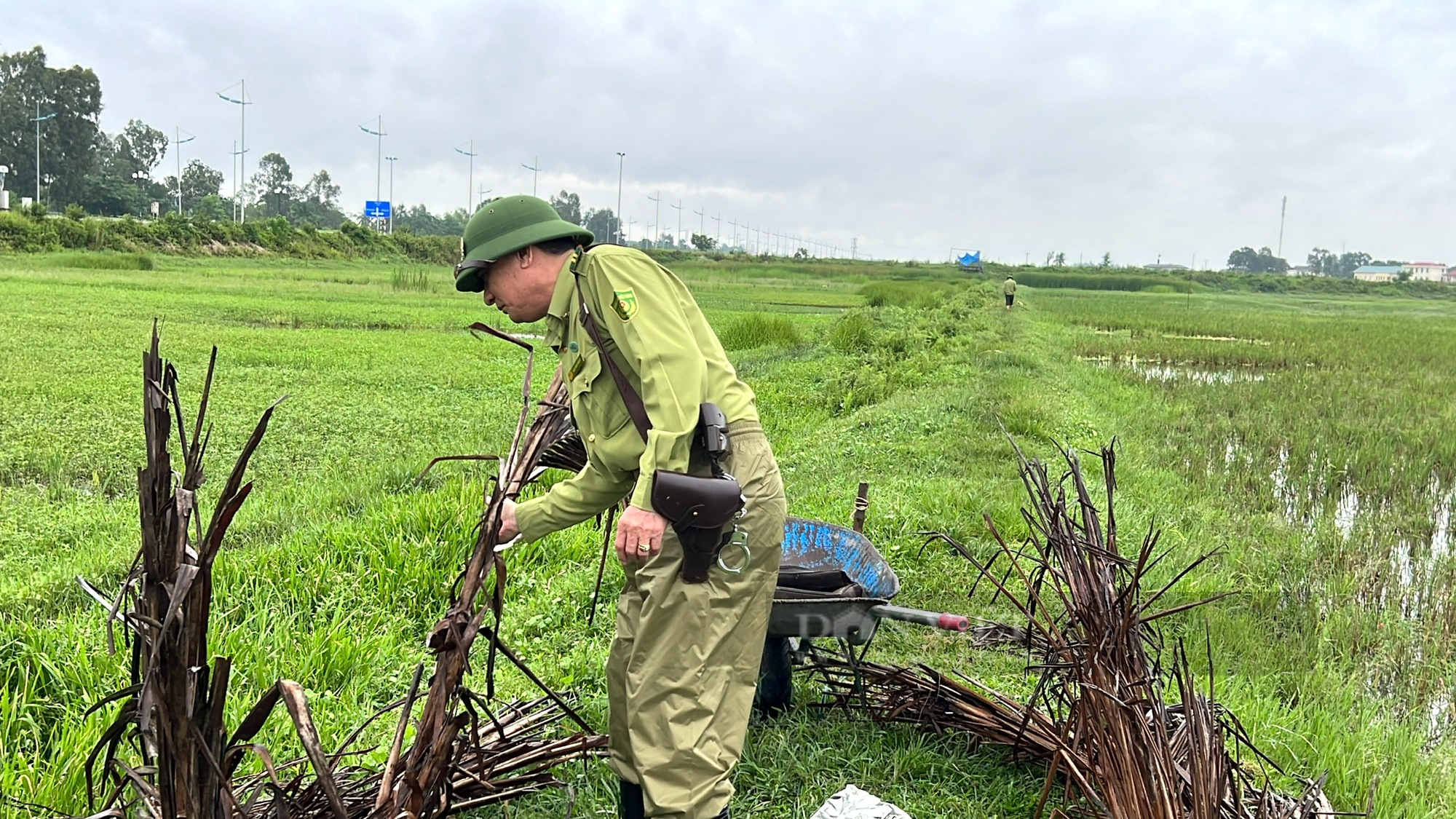 Thanh Hóa tháo gỡ những “thiên la, địa võng” bẫy chim, cò sau phản ánh của báo Dân Việt - Ảnh 7.