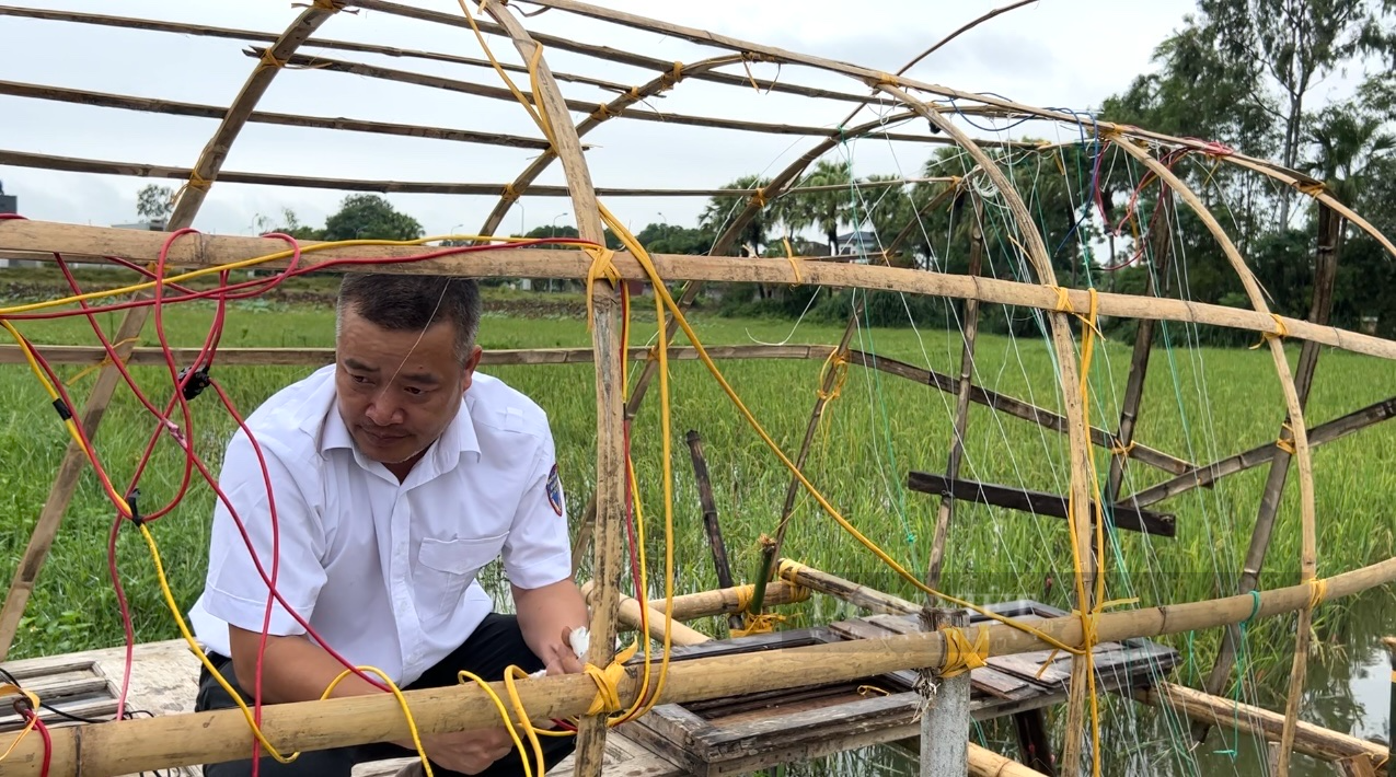 Thanh Hóa tháo gỡ những “thiên la, địa võng” bẫy chim, cò sau phản ánh của báo Dân Việt - Ảnh 8.
