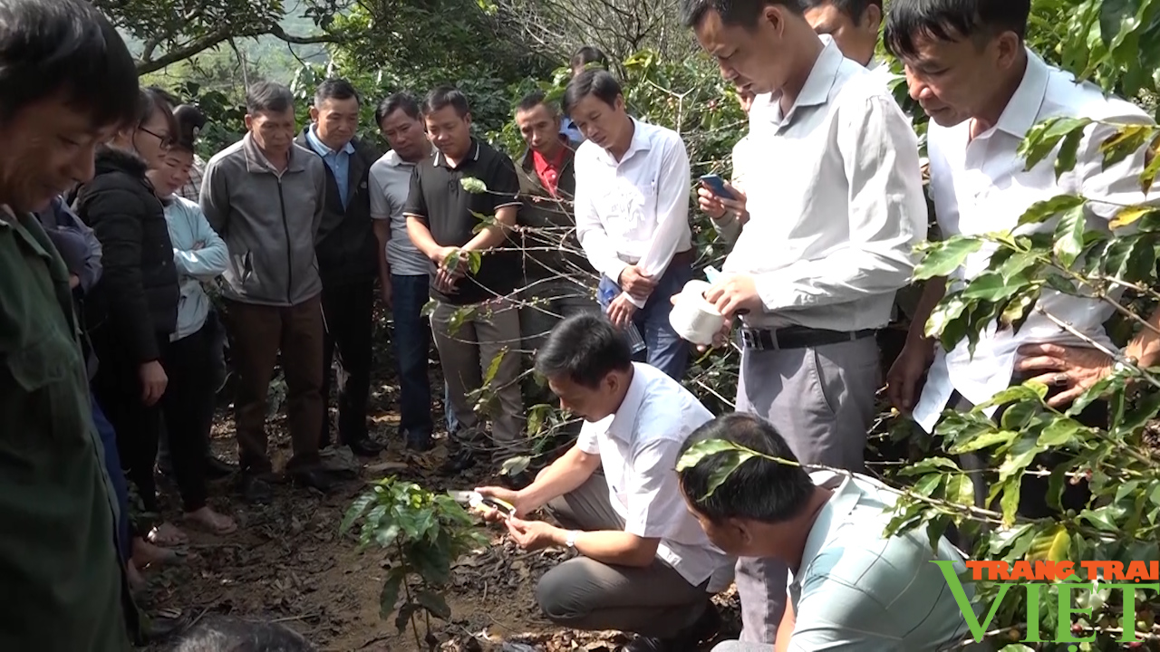 Sơn La: Chuẩn bị tốt các điều kiện tổ chức Đại hội Hội Nông dân lần thứ X - Ảnh 3. Sơn La: Chuẩn bị tốt các điều kiện tổ chức Đại hội Hội Nông dân lần thứ X - Ảnh 3.