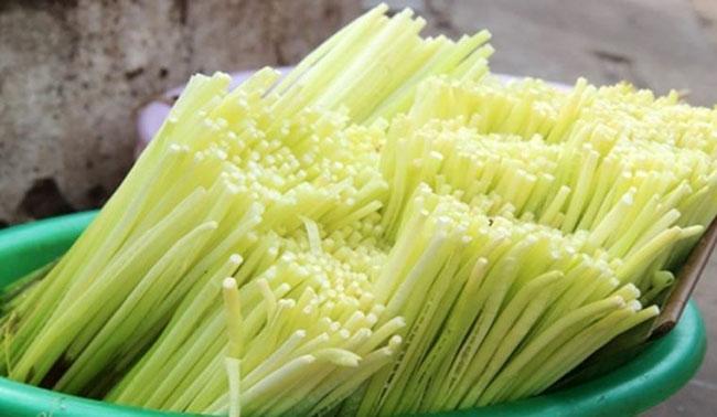 Loại rau mọc tua tủa, trước dùng để chống đói, giờ là đặc sản được săn lùng, biết giá ai cũng hỏi mua - Ảnh 3. Loại rau mọc tua tủa, trước dùng để chống đói, giờ là đặc sản được săn lùng, biết giá ai cũng hỏi mua - Ảnh 3.