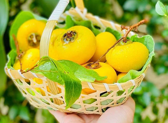 Dân buôn chặt cả cành loại quả này, đi bán như hoa, giá lên tới gần 1 triệu đồng/cành - Ảnh 2. Dân buôn chặt cả cành loại quả này, đi bán như hoa, giá lên tới gần 1 triệu đồng/cành - Ảnh 2.