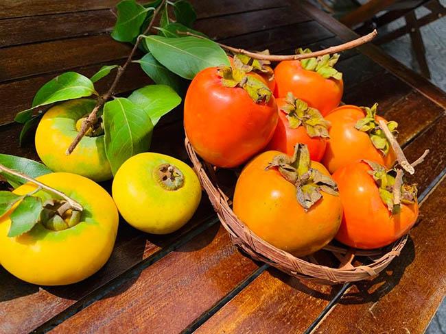 Dân buôn chặt cả cành loại quả này, đi bán như hoa, giá lên tới gần 1 triệu đồng/cành - Ảnh 3. Dân buôn chặt cả cành loại quả này, đi bán như hoa, giá lên tới gần 1 triệu đồng/cành - Ảnh 3.
