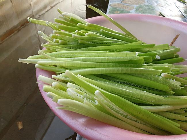 Loại rau mọc tua tủa, trước dùng để chống đói, giờ là đặc sản được săn lùng, biết giá ai cũng hỏi mua - Ảnh 6. Loại rau mọc tua tủa, trước dùng để chống đói, giờ là đặc sản được săn lùng, biết giá ai cũng hỏi mua - Ảnh 6.
