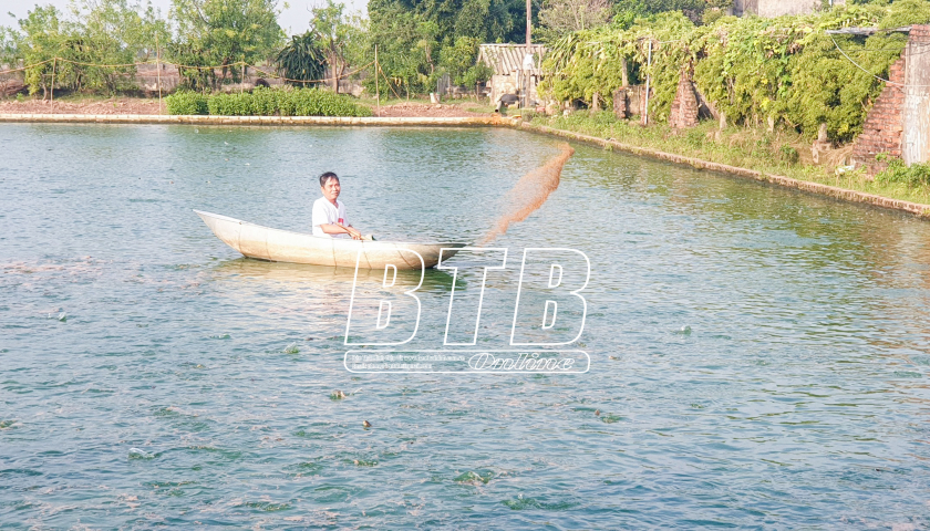Nuôi cá rô đồng dày đặc dưới ao, bắt bán hàng tấn, một nông dân Thái Bình thu tiền tỷ - Ảnh 1.