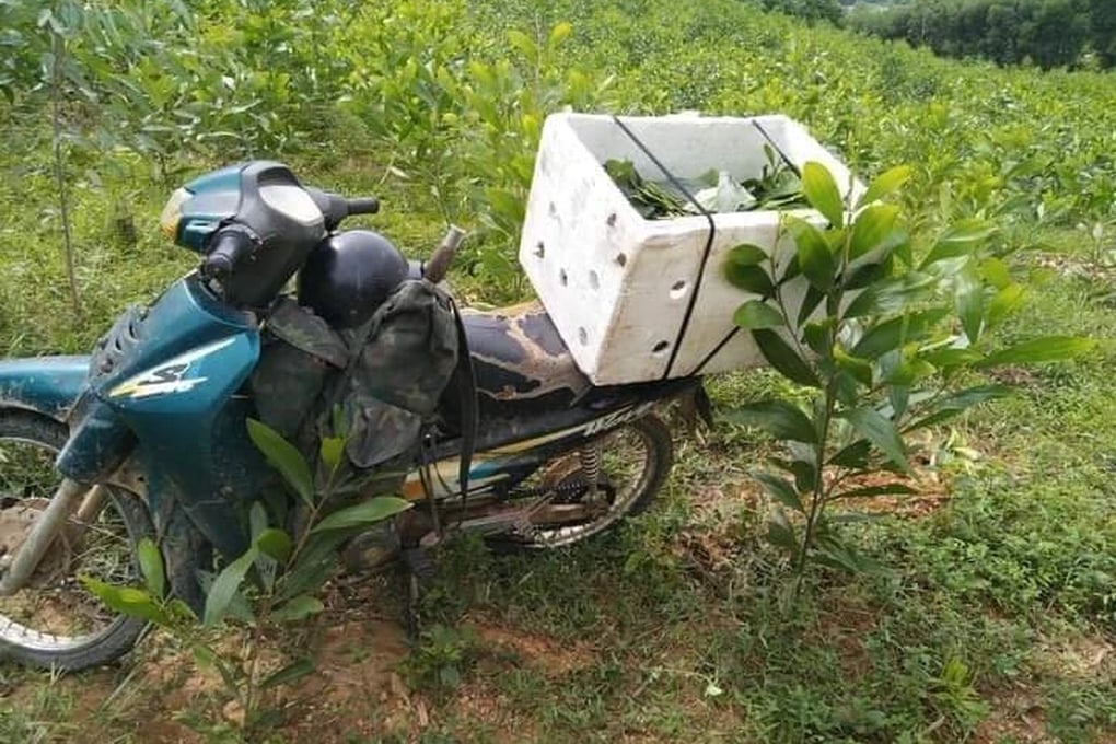 TIN NÓNG 24 GIỜ QUA: Giả tổ công tác chặn xe người đi đường; bắt 1 Chi cục phó Thi hành án dân sự - Ảnh 4.