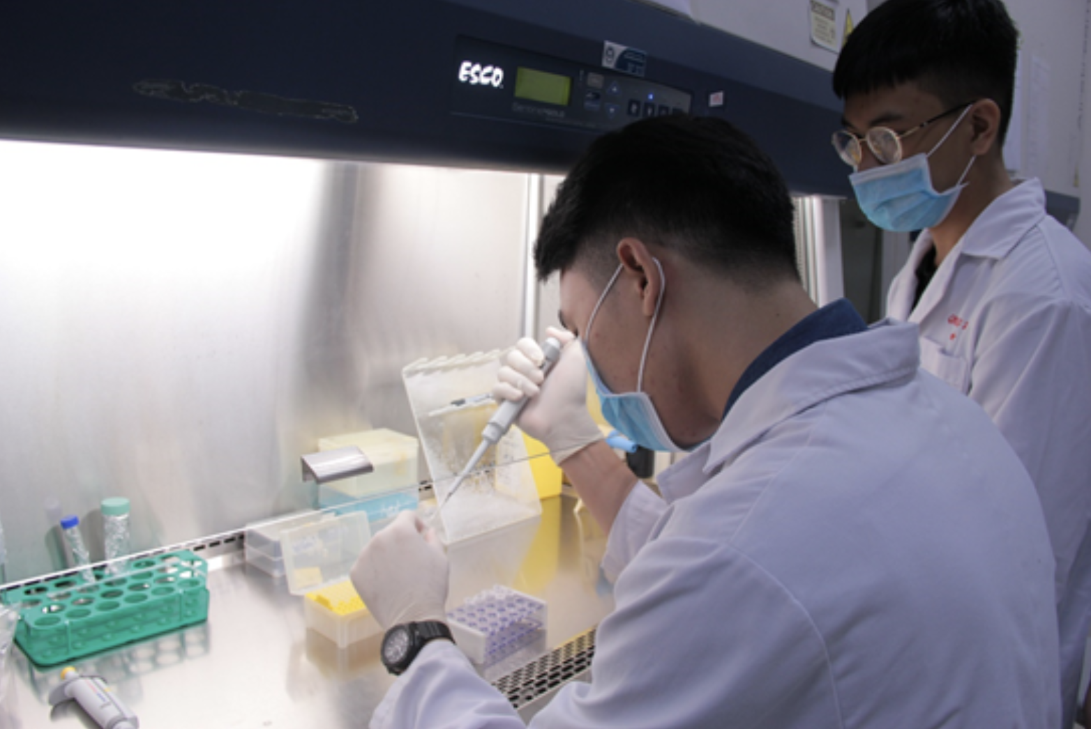 Có một ngành học nhẹ nhàng, ít rủi ro, sinh viên ra trường nhận ngay mức lương 15 triệu đồng - Ảnh 2.