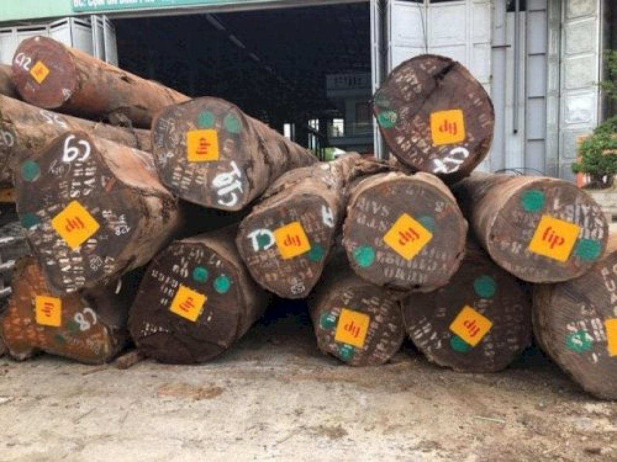 Công bố danh mục các loại gỗ đã nhập khẩu vào Việt Nam - Ảnh 1. Công bố danh mục các loại gỗ đã nhập khẩu vào Việt Nam - Ảnh 1.