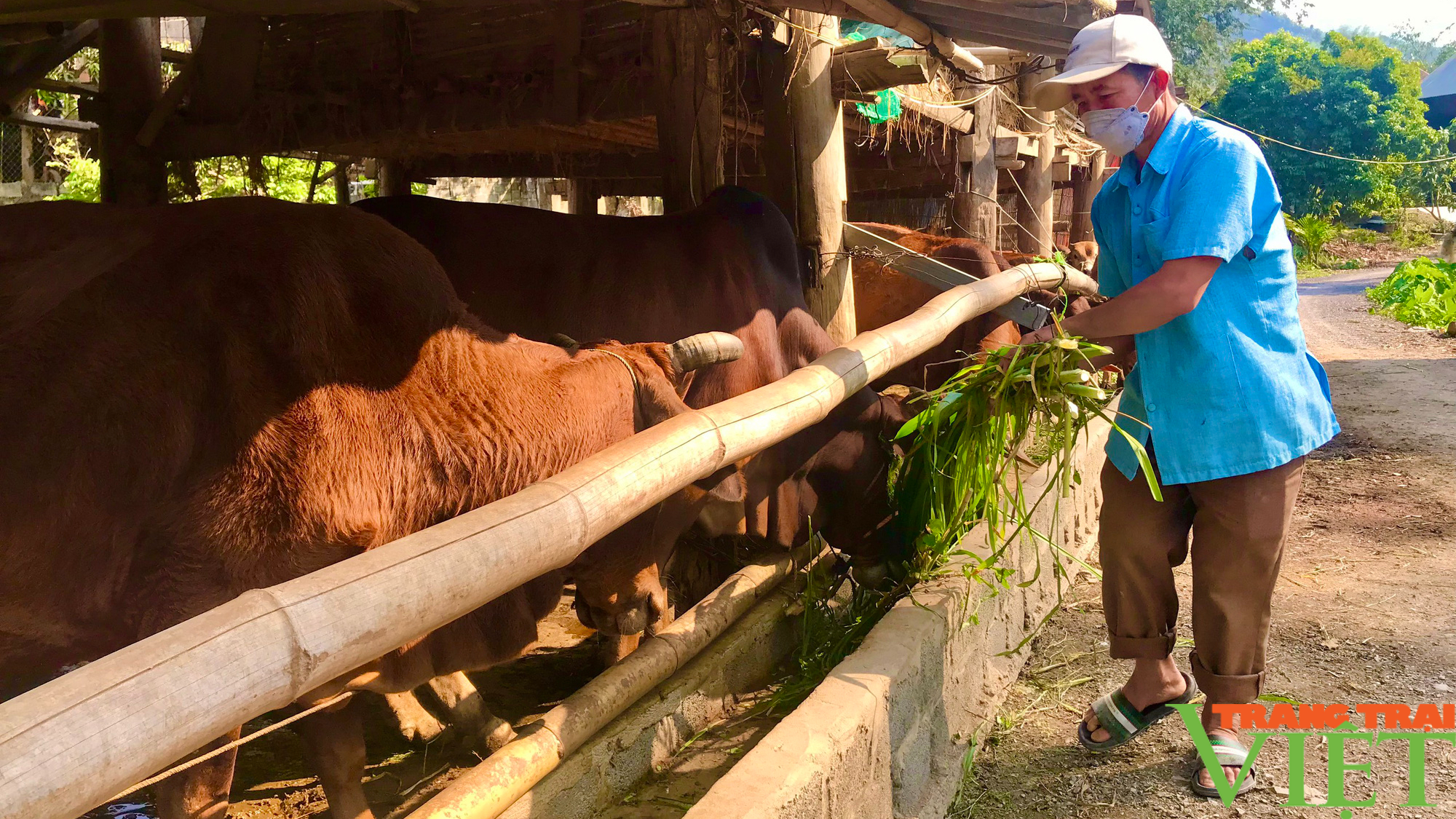 Sơn La: Xây dựng nông thôn vùng cao thành nơi đáng sống - Ảnh 2. Sơn La: Xây dựng nông thôn vùng cao thành nơi đáng sống - Ảnh 2.