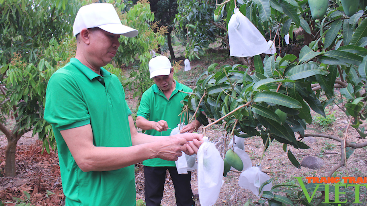 Sơn La: Xây dựng nông thôn vùng cao thành nơi đáng sống - Ảnh 4. Sơn La: Xây dựng nông thôn vùng cao thành nơi đáng sống - Ảnh 4.