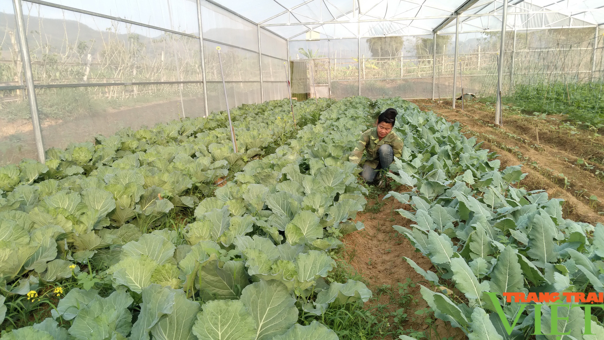 Sơn La: Xây dựng nông thôn vùng cao thành nơi đáng sống - Ảnh 5. Sơn La: Xây dựng nông thôn vùng cao thành nơi đáng sống - Ảnh 5.