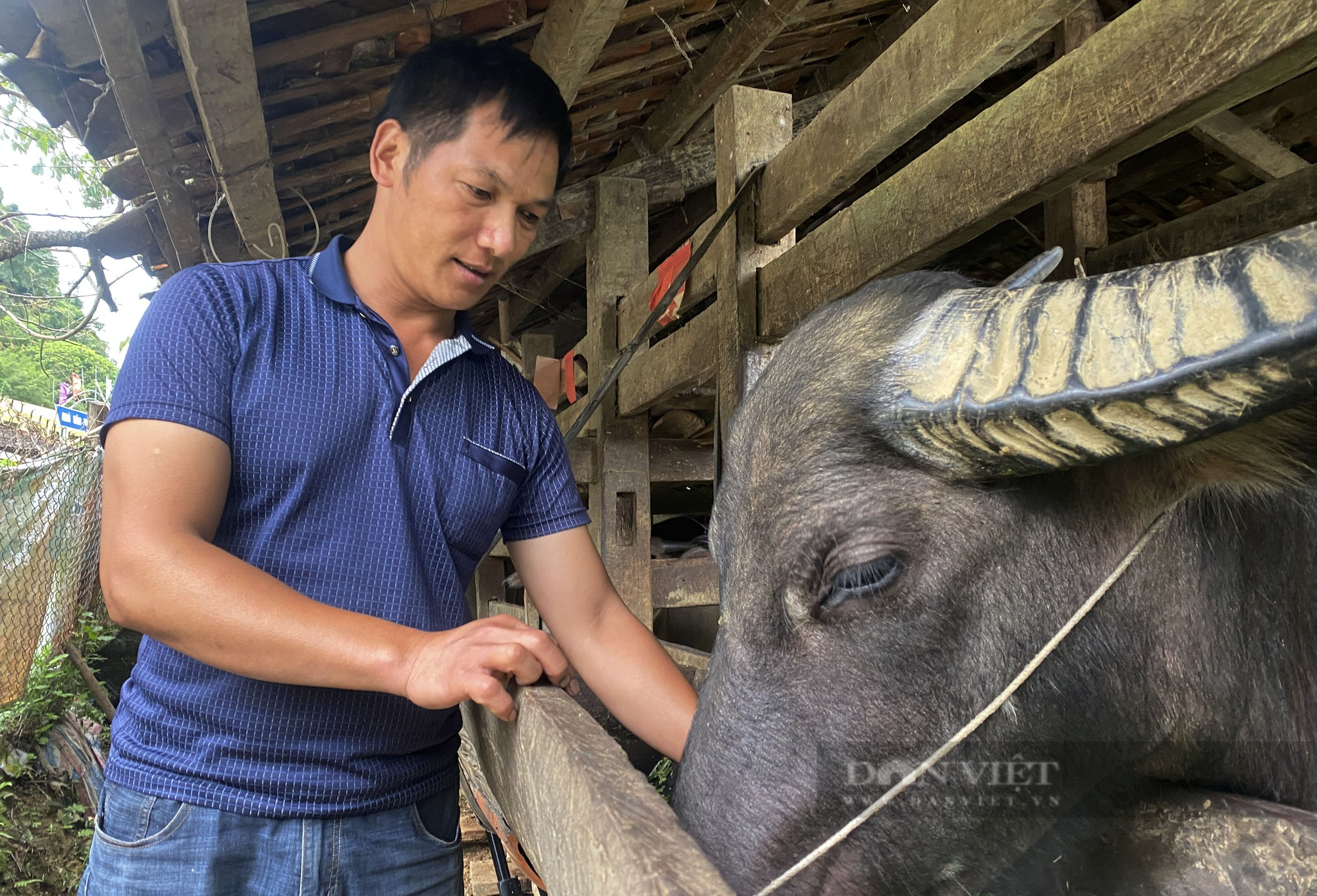 Nông dân Việt Nam xuất sắc đến từ tỉnh Cao Băng: Tôi thấy mình cần nỗ lực nhiều hơn nữa - Ảnh 4.