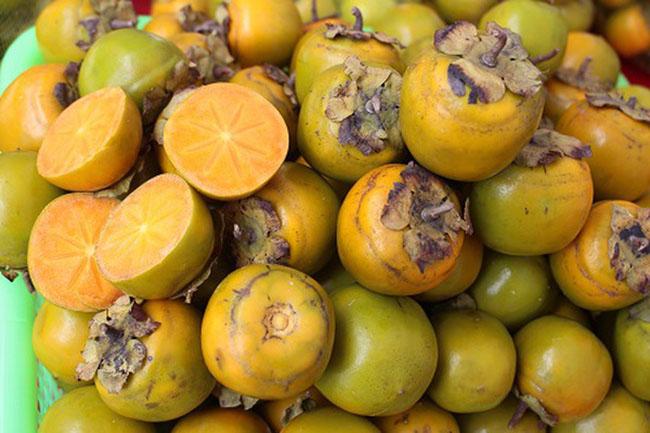 Loại cây trồng làm bóng mát hàng trăm năm trước, giờ hái quả bán thu về hàng trăm triệu mỗi năm - Ảnh 3. Loại cây trồng làm bóng mát hàng trăm năm trước, giờ hái quả bán thu về hàng trăm triệu mỗi năm - Ảnh 3.