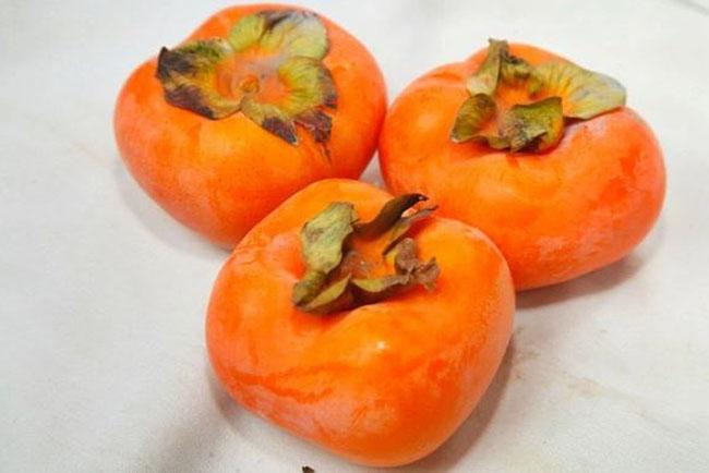 Loại cây trồng làm bóng mát hàng trăm năm trước, giờ hái quả bán thu về hàng trăm triệu mỗi năm - Ảnh 2. Loại cây trồng làm bóng mát hàng trăm năm trước, giờ hái quả bán thu về hàng trăm triệu mỗi năm - Ảnh 2.