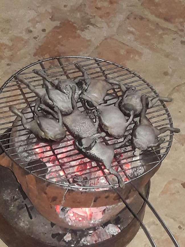 Món đặc sản kinh dị ngay từ lần đầu tiên nhìn thấy nhưng ăn tuyệt ngon, giá 200.000 đồng/kg - Ảnh 7. Món đặc sản kinh dị ngay từ lần đầu tiên nhìn thấy nhưng ăn tuyệt ngon, giá 200.000 đồng/kg - Ảnh 7.