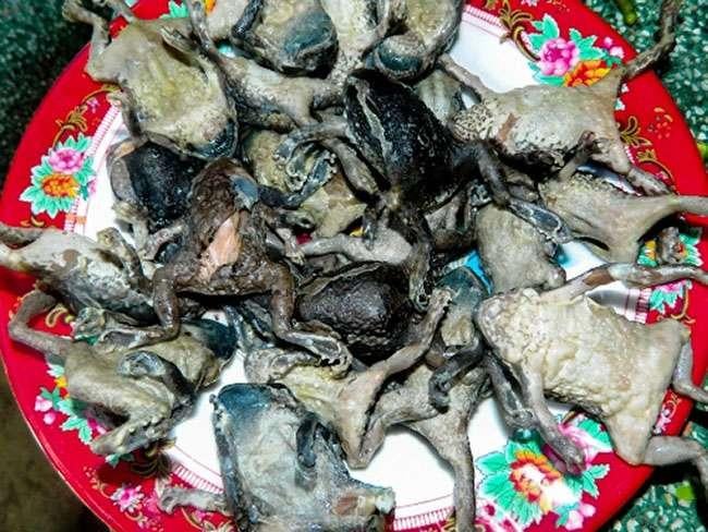 Món đặc sản kinh dị ngay từ lần đầu tiên nhìn thấy nhưng ăn tuyệt ngon, giá 200.000 đồng/kg - Ảnh 5. Món đặc sản kinh dị ngay từ lần đầu tiên nhìn thấy nhưng ăn tuyệt ngon, giá 200.000 đồng/kg - Ảnh 5.