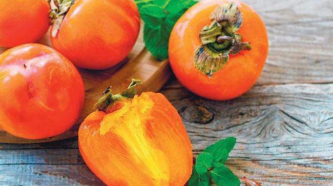 Loại cây trồng làm bóng mát hàng trăm năm trước, giờ hái quả bán thu về hàng trăm triệu mỗi năm - Ảnh 7. Loại cây trồng làm bóng mát hàng trăm năm trước, giờ hái quả bán thu về hàng trăm triệu mỗi năm - Ảnh 7.