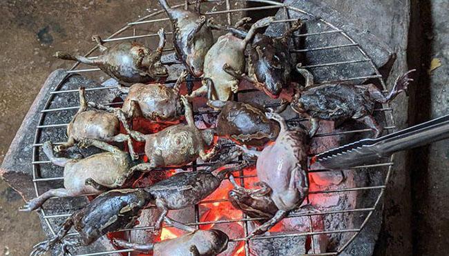 Món đặc sản kinh dị ngay từ lần đầu tiên nhìn thấy nhưng ăn tuyệt ngon, giá 200.000 đồng/kg - Ảnh 1. Món đặc sản kinh dị ngay từ lần đầu tiên nhìn thấy nhưng ăn tuyệt ngon, giá 200.000 đồng/kg - Ảnh 1.