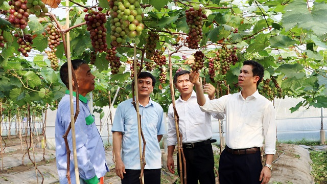 Nông thôn mới Bắc Giang: Hiệp Hòa hướng tới xây dựng nông thôn mới thông minh - Ảnh 1.