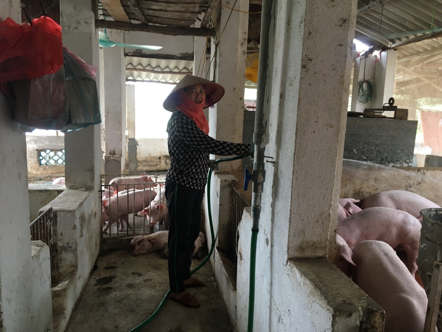 Xã NTM nâng cao nào ở Bắc Giang có thu nhập bình quân đầu người đạt gần 60 triệu đồng/năm - Ảnh 2.