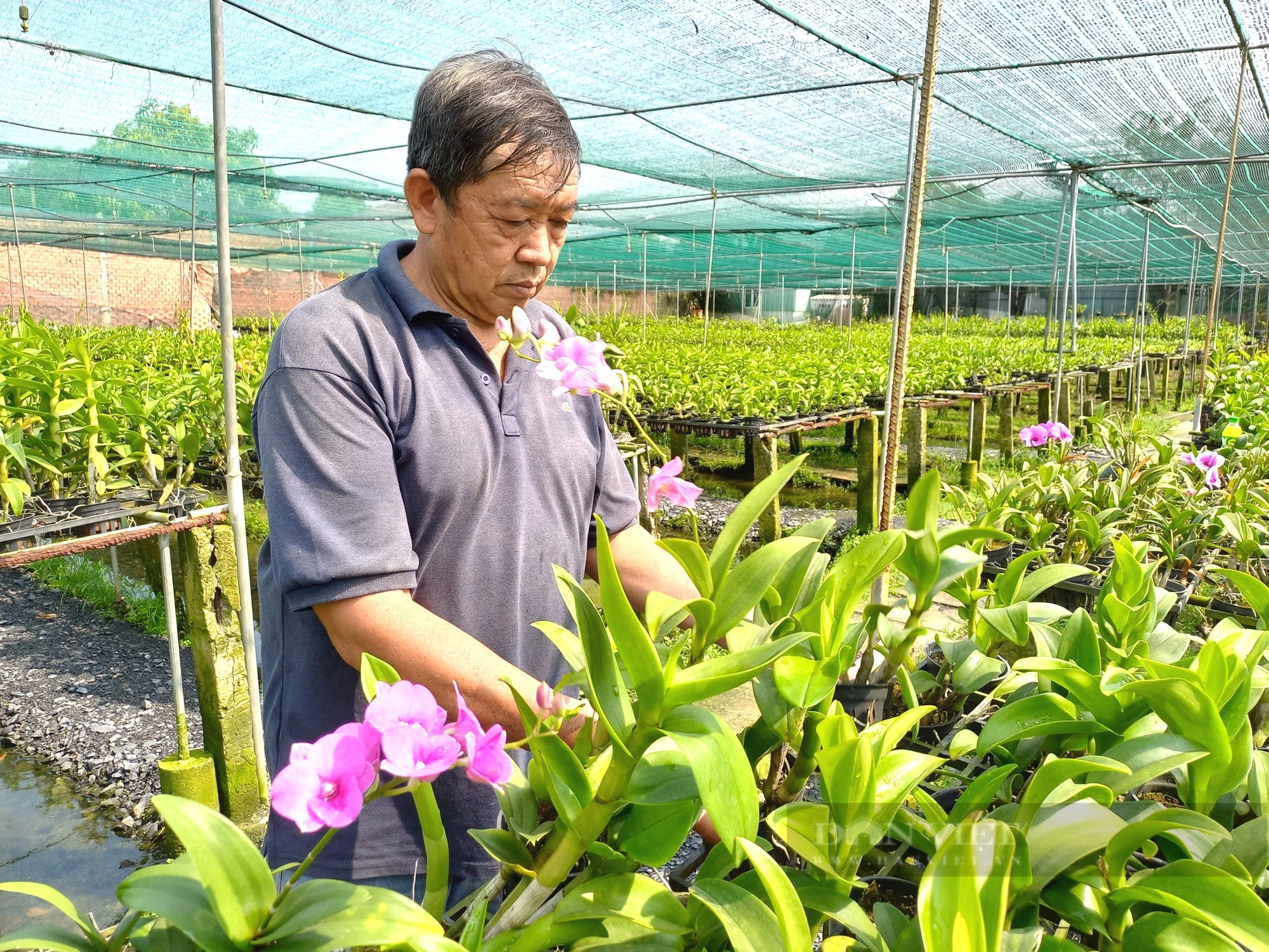 Tăng thu nhập lao động ngành nghề nông thôn lên gấp 3 lần vào năm 2030 - Ảnh 1.
