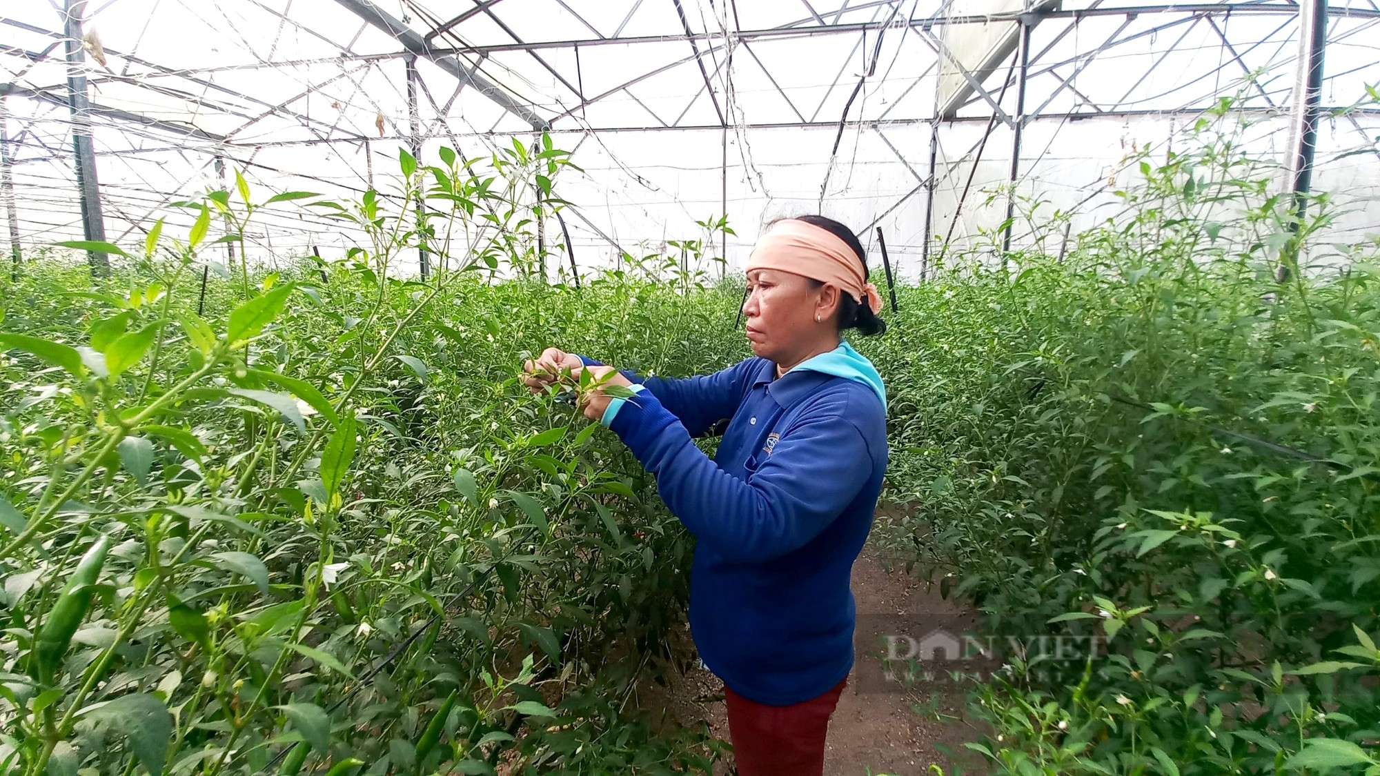 8 giải pháp giúp xuất khẩu sản phẩm ngành nghề nông thôn đạt 6 tỷ USD vào năm 2030 - Ảnh 3.