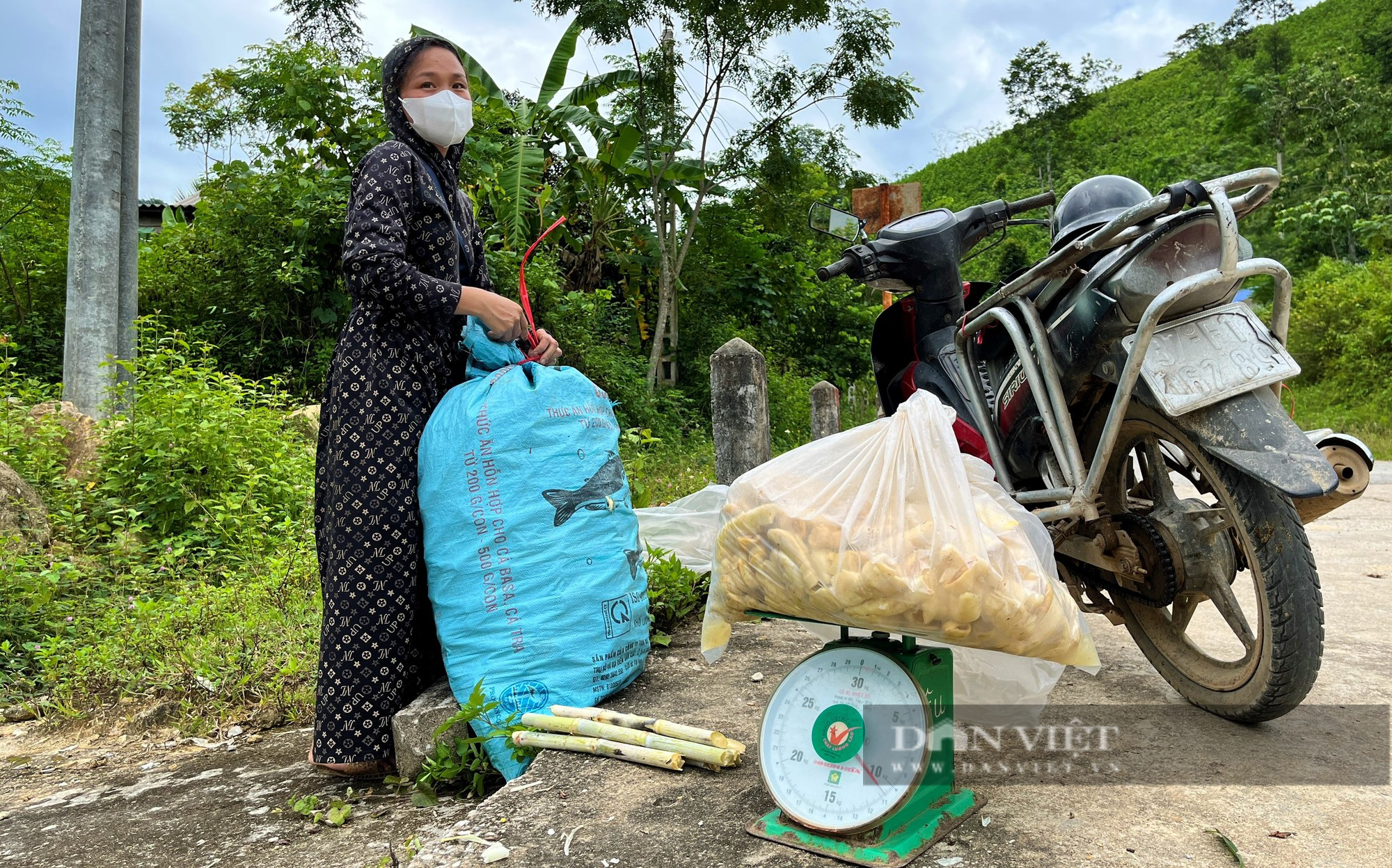 Phụ nữ vùng cao Nghệ An hái loại lộc rừng ăn ngon miệng, về xuôi nhà nào cũng tranh nhau mua - Ảnh 3.