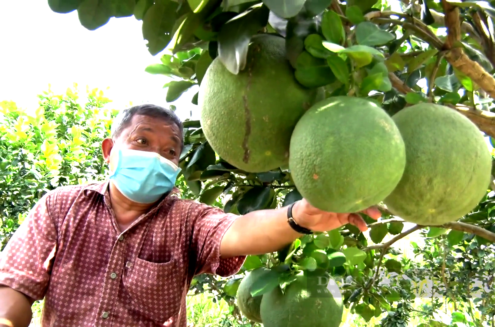 Hội Nông dân tỉnh Tiền Giang giúp số nông dân có thu nhập tiền tỷ tăng gấp đôi - Ảnh 1.