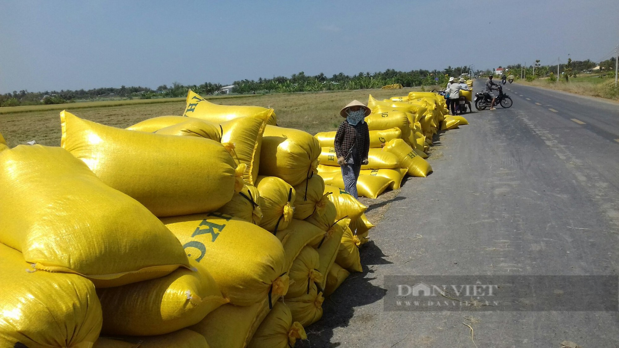 Hội Nông dân tỉnh Tiền Giang giúp số nông dân có thu nhập tiền tỷ tăng gấp đôi - Ảnh 3.