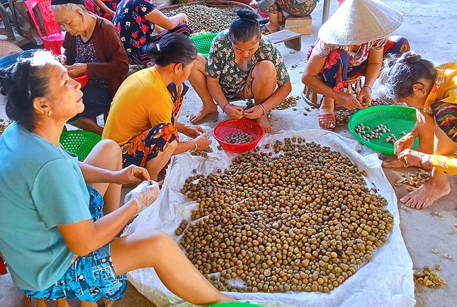 'Lộc trời' trong rừng giúp người dân huyện miền núi thoát nghèo - Ảnh 3.