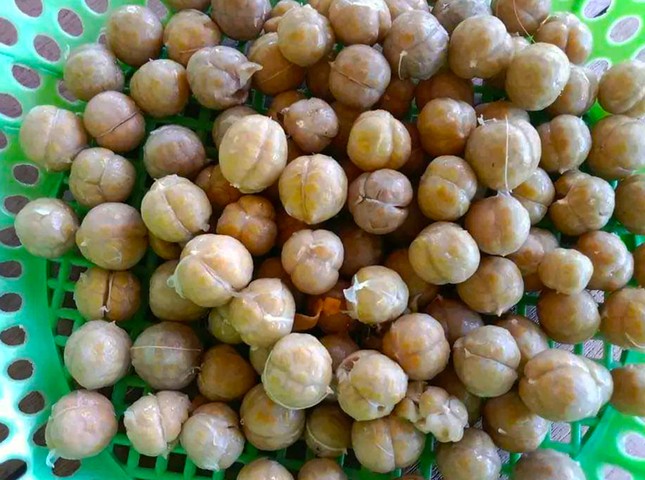 'Lộc trời' trong rừng giúp người dân huyện miền núi thoát nghèo ảnh 2