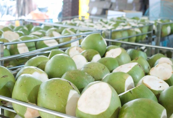 Thứ quả có nước thanh mát, giờ giá tăng rất mạnh, còn hướng đến mục tiêu xuất khẩu 1 tỷ USD - Ảnh 2. Thứ quả có nước thanh mát, giờ giá tăng rất mạnh, còn hướng đến mục tiêu xuất khẩu 1 tỷ USD - Ảnh 2.