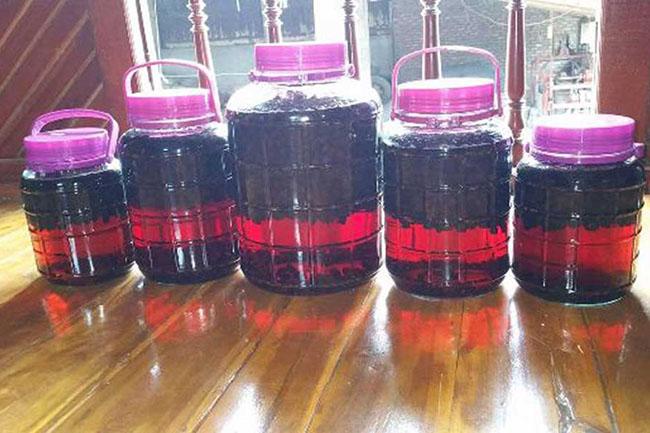 Quả dại trước không ai để ý, giờ dân buôn ngày bán cả tạ vẫn hết, giá 30.000 đồng/kg - Ảnh 8. Quả dại trước không ai để ý, giờ dân buôn ngày bán cả tạ vẫn hết, giá 30.000 đồng/kg - Ảnh 8.