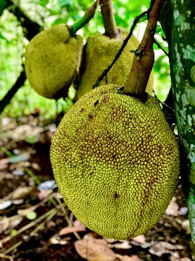 &quot;Nữ hoàng cảnh nóng&quot; màn ảnh Việt khoe khu vườn &quot;thẳng cánh cò bay&quot; - Ảnh 4.