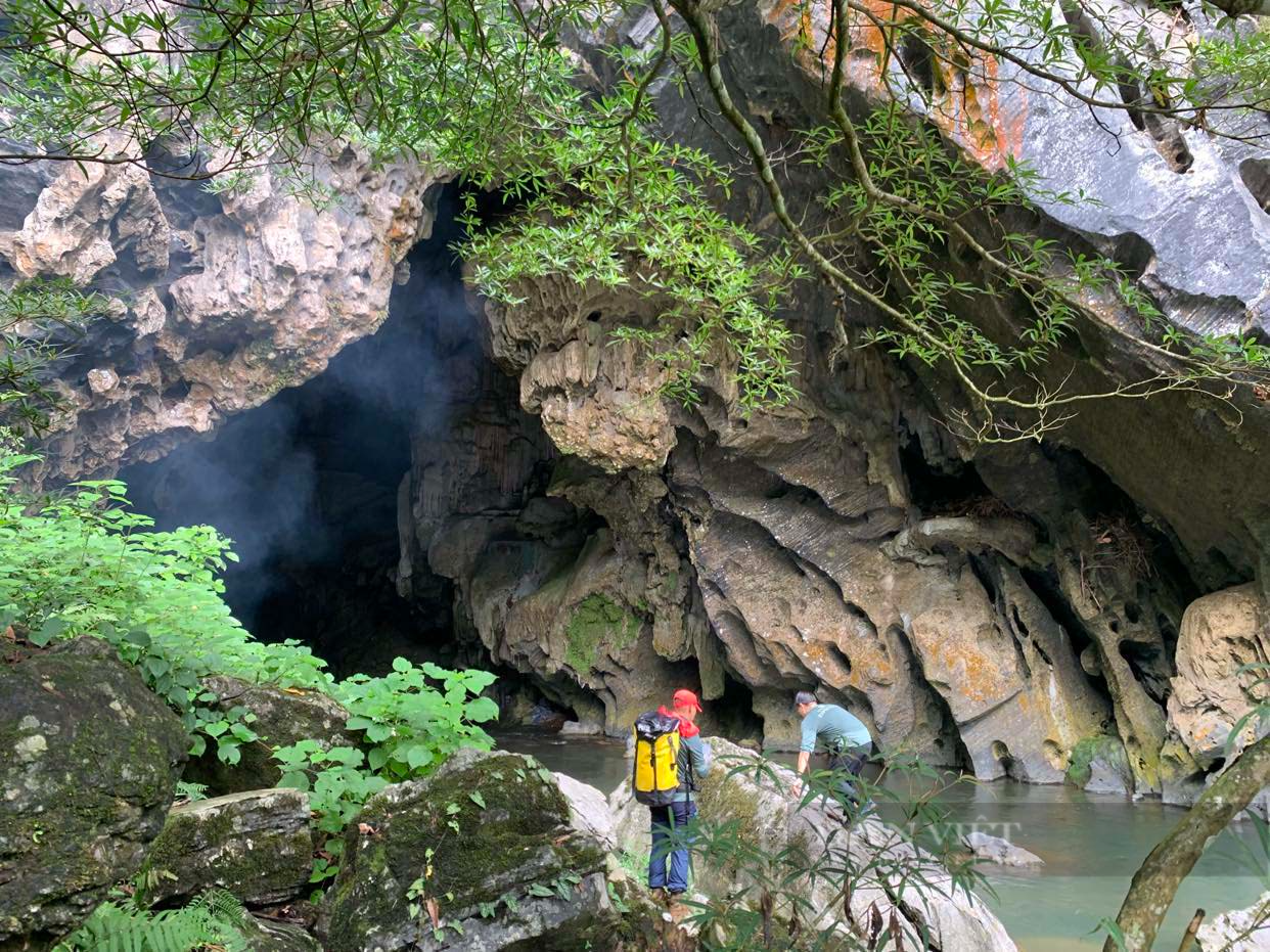 Khám phá hang Rục Mòn (Bài 1): Kiệt tác của thiên nhiên - Thạch nhũ sống và &quot;chết&quot; - Ảnh 3.