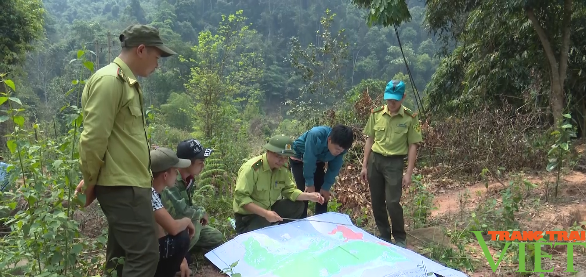 Hạt Kiểm lâm Vân Hồ (Sơn La) làm tốt công tác BVR và PCCCR - Ảnh 3.