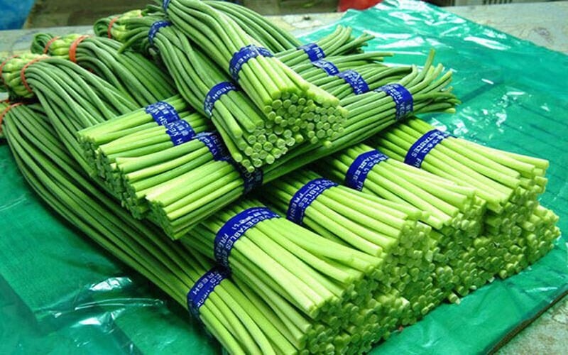 Thứ này có giá 90.000đ/kg, người Trung Quốc gọi là “rau trường thọ”, ăn rất ngon lại có thể làm thuốc - Ảnh 1.