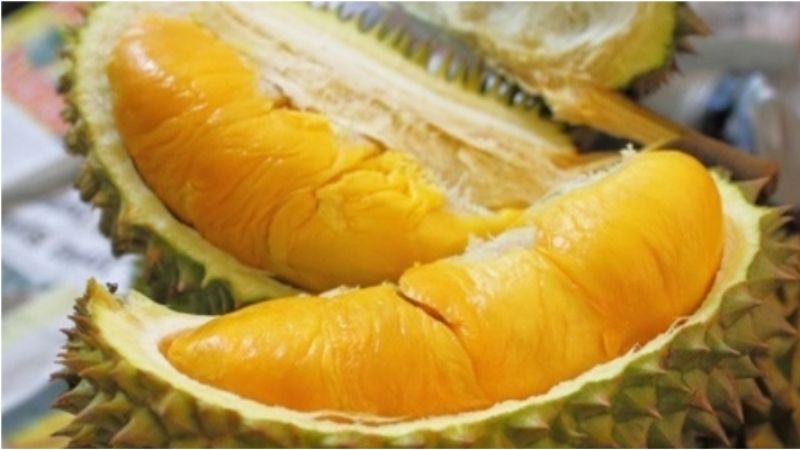 Giá sầu riêng ngày 28/10: Giá sầu riêng lại tăng 'khủng', sầu Thái vọt đỉnh cao mới - Ảnh 2.