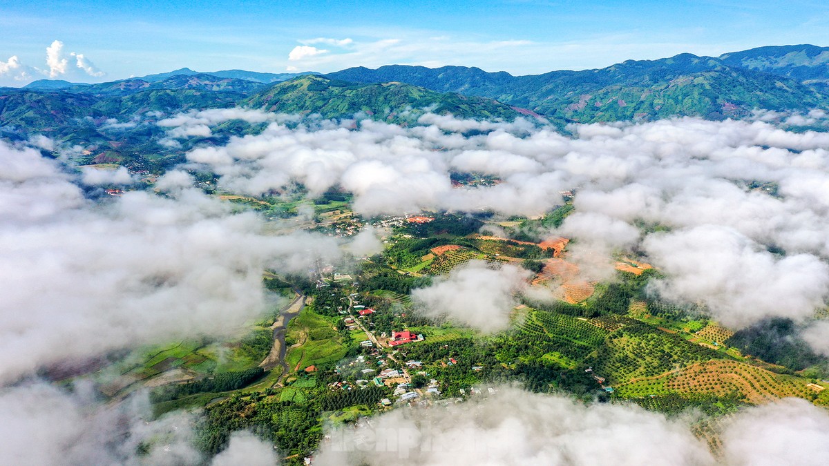 'Hái ra tiền' nhờ giá sầu riêng phi mã, nông dân Khánh Sơn thu về 700 triệu đến 1 tỷ đồng/ha - Ảnh 2.
