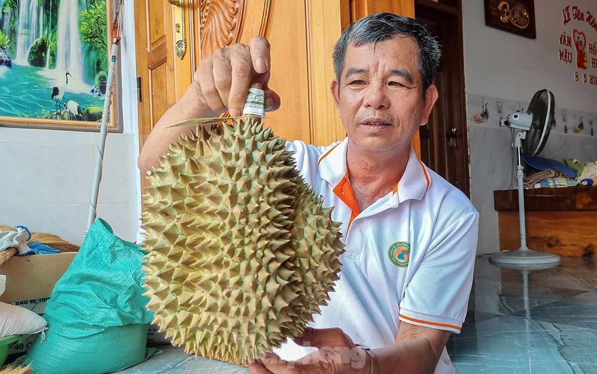 'Hái ra tiền' nhờ giá sầu riêng phi mã, nông dân Khánh Sơn thu về 700 triệu đến 1 tỷ đồng/ha - Ảnh 15.