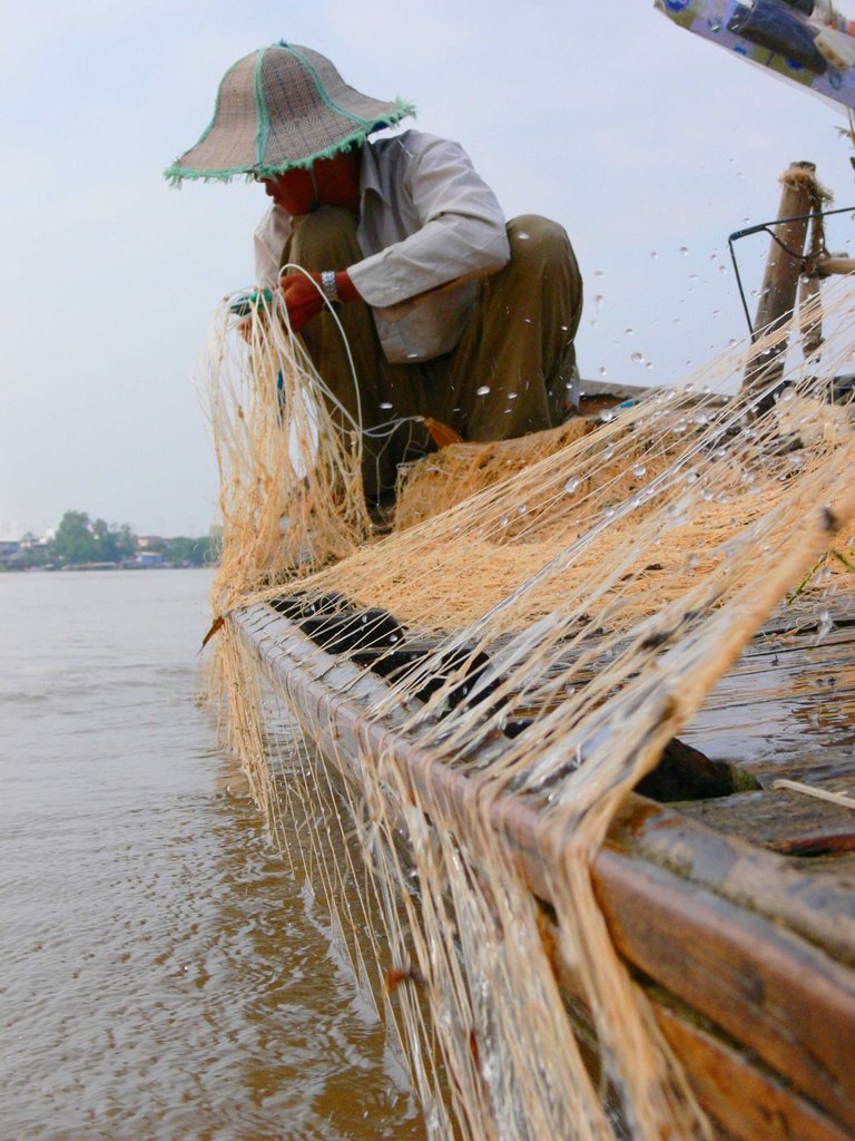 Cá vồ đém trên sông - Ảnh 2.