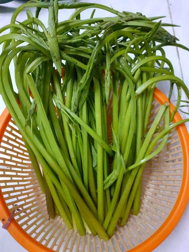 Loại rau này mọc bạt ngàn, dân hái về băm cho lợn ăn thế mà nay thành đặc sản cho người, 100.000 đồng/kg - Ảnh 5. Loại rau này mọc bạt ngàn, dân hái về băm cho lợn ăn thế mà nay thành đặc sản cho người, 100.000 đồng/kg - Ảnh 5.