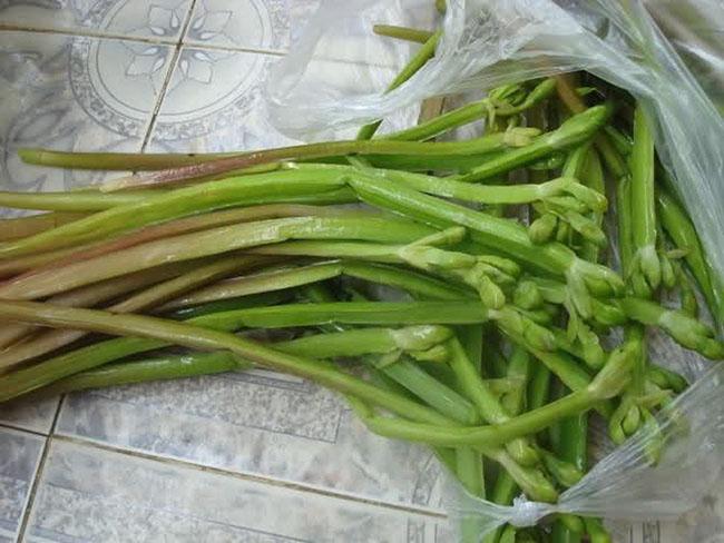 Loại rau này mọc bạt ngàn, dân hái về băm cho lợn ăn thế mà nay thành đặc sản cho người, 100.000 đồng/kg - Ảnh 4. Loại rau này mọc bạt ngàn, dân hái về băm cho lợn ăn thế mà nay thành đặc sản cho người, 100.000 đồng/kg - Ảnh 4.