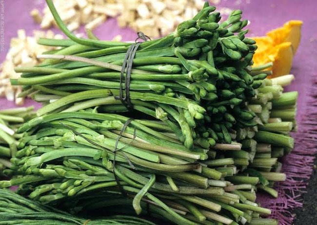 Loại rau này mọc bạt ngàn, dân hái về băm cho lợn ăn thế mà nay thành đặc sản cho người, 100.000 đồng/kg - Ảnh 1. Loại rau này mọc bạt ngàn, dân hái về băm cho lợn ăn thế mà nay thành đặc sản cho người, 100.000 đồng/kg - Ảnh 1.
