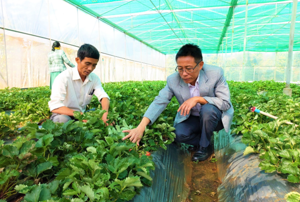 Hội Nông dân Đăk Nông - dấu ấn một nhiệm kỳ đổi mới - Ảnh 1.