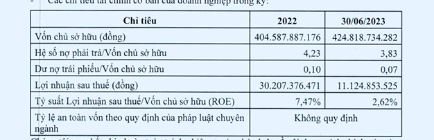 Atad Đồng Nai: Nợ phải trả gấp 3,8 lần vốn chủ, lãi 6 tháng đạt 37% so với năm 2022 - Ảnh 1.