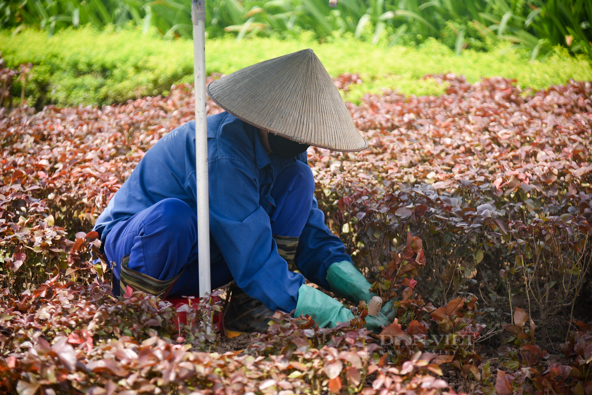 Hình ảnh công viên hiện đại nhất Hà Nội một thời, sau hơn 10 năm đưa vào sử dụng  - Ảnh 13.