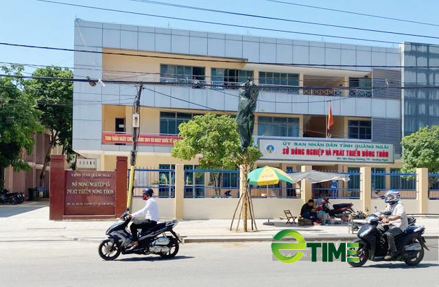 Quảng Ngãi làm rõ phản ánh một số tàu cá trục lợi chính sách - Ảnh 4. Quảng Ngãi làm rõ phản ánh một số tàu cá trục lợi chính sách - Ảnh 4.