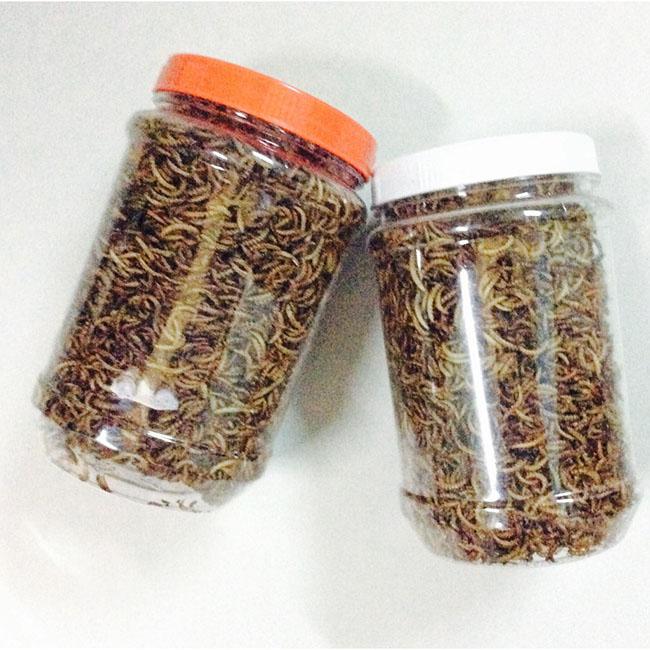 Một đặc sản nổi tiếng Tây Bắc được ví là “thần dược phòng the”, giá 5 triệu đồng/kg khô - Ảnh 10. Một đặc sản nổi tiếng Tây Bắc được ví là “thần dược phòng the”, giá 5 triệu đồng/kg khô - Ảnh 10.