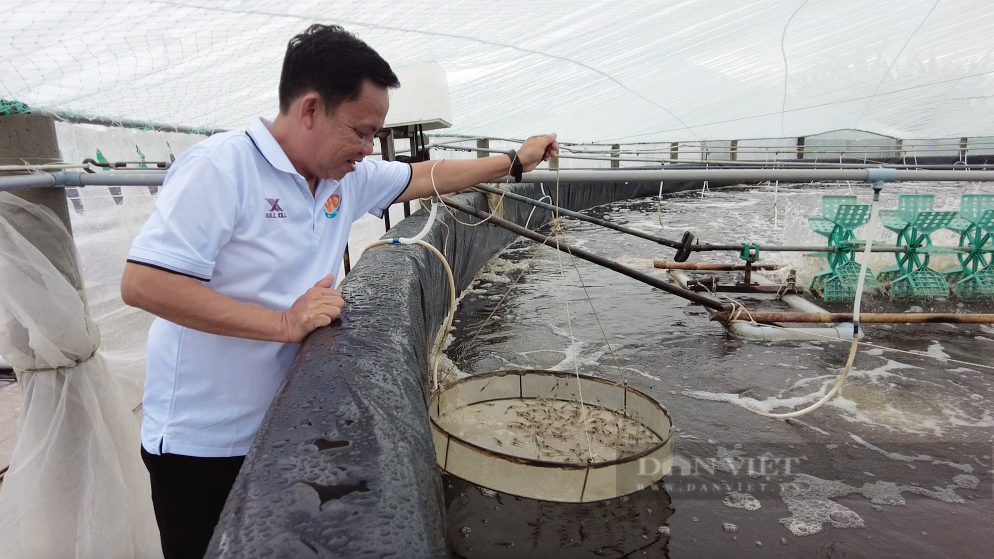 Nuôi tôm công nghệ cao lãi tiền tỷ mỗi năm, nông dân Trà Vinh trở thành nông dân Việt Nam xuất sắc  - Ảnh 1.