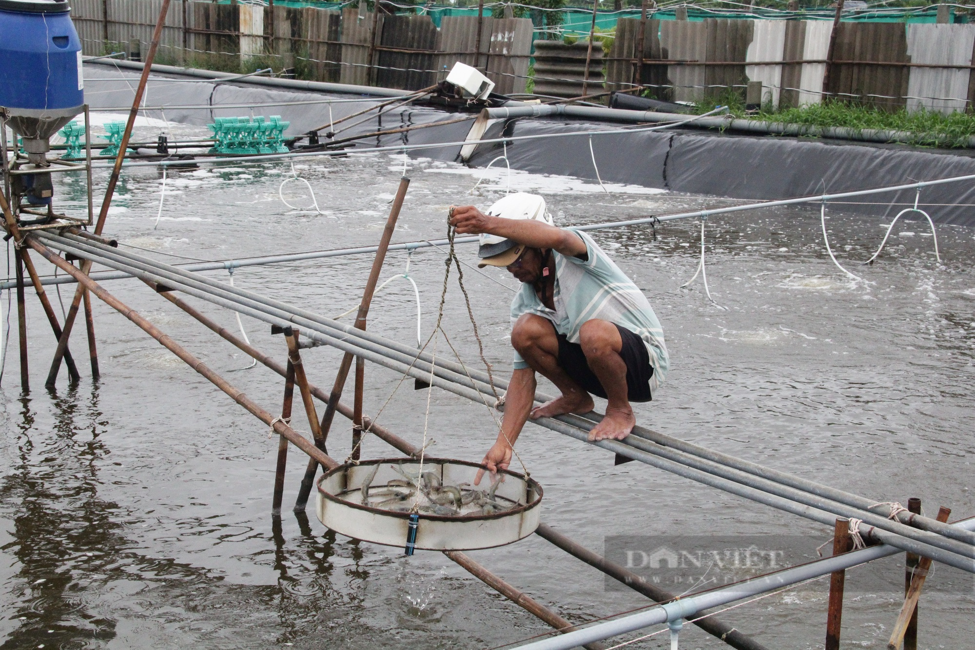 Nuôi tôm công nghệ cao lãi tiền tỷ mỗi năm, nông dân Trà Vinh trở thành nông dân Việt Nam xuất sắc  - Ảnh 2.